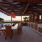 House Of Old Olive Tree *