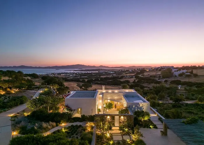 House Of Old Olive Tree *