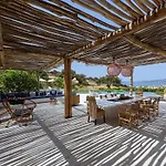 House Of Old Olive Tree