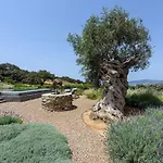 Vila House Of Old Olive Tree *