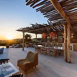 House Of Old Olive Tree Vila