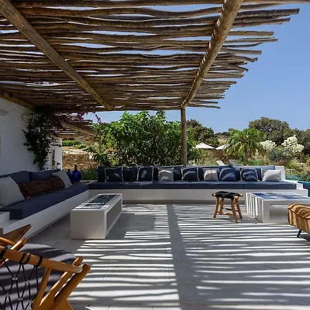 House Of Old Olive Tree * Agkeria