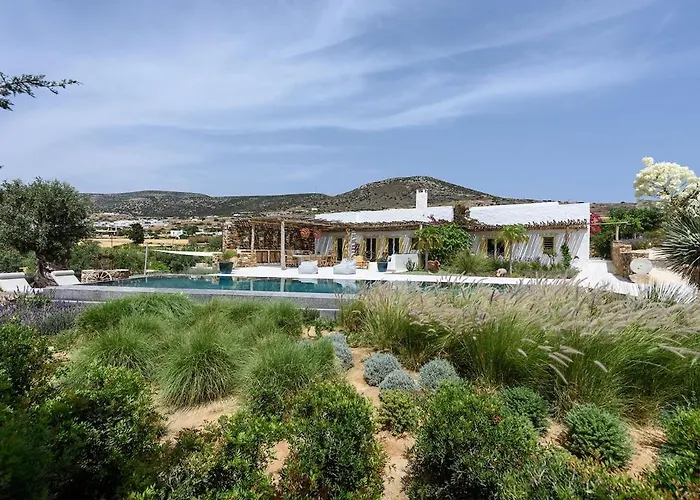 House Of Old Olive Tree *