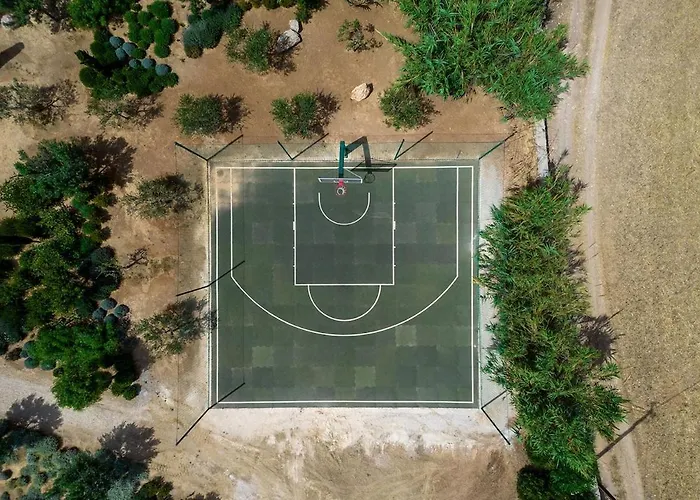 House Of Old Olive Tree *